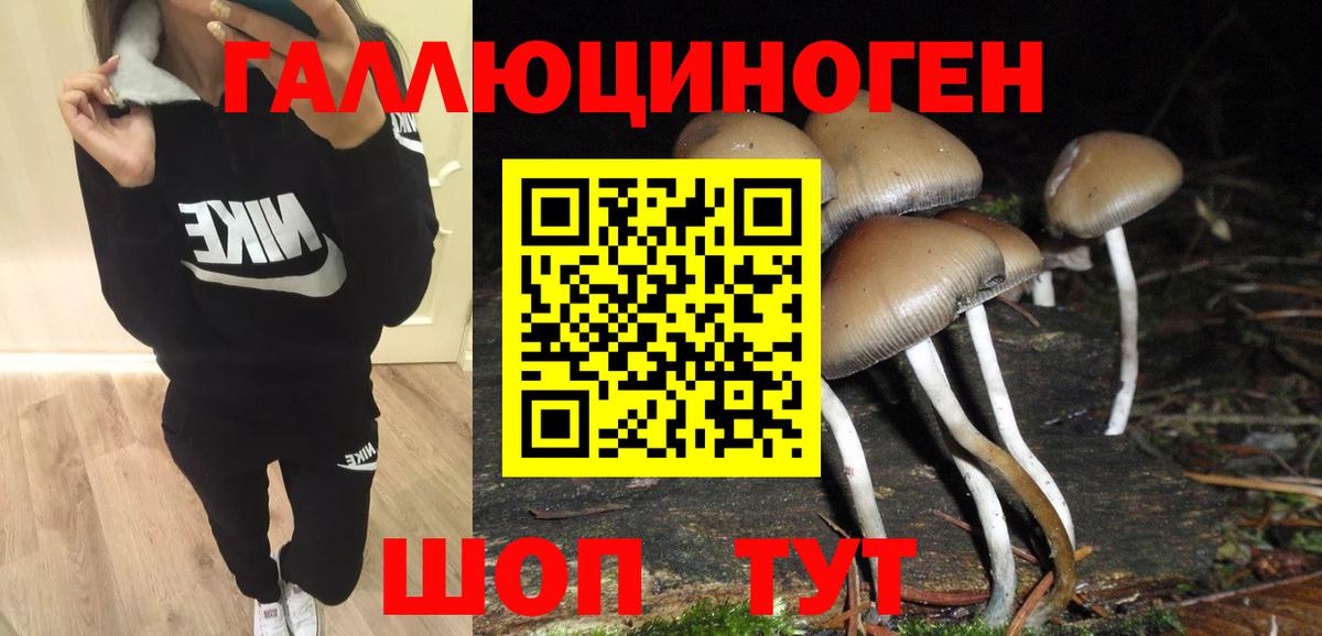 Галлюциногенные грибы Psilocybine cubensis  Галлюциногенные грибы ЛСД  Лысьва  Вход с VPN 
